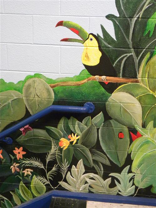 a Tucan from the Jungle Mural 